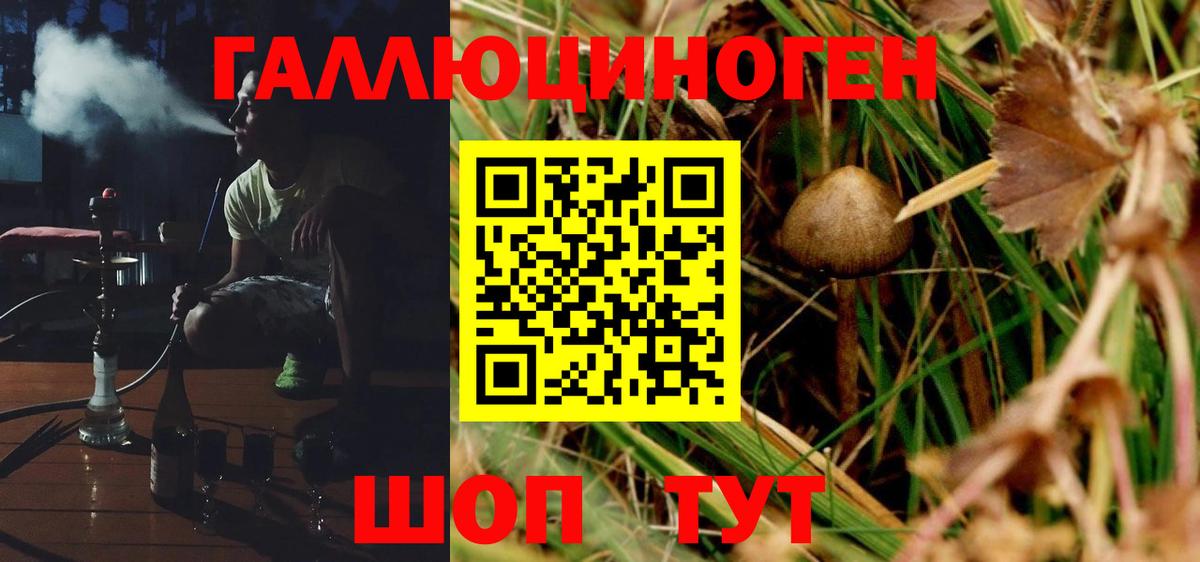 цены наркотик  Галлюциногенные грибы Magic Shrooms  Вход с VPN  Гурьевск 